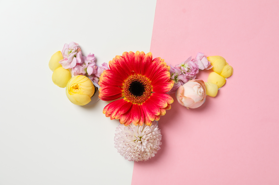 お花子宮